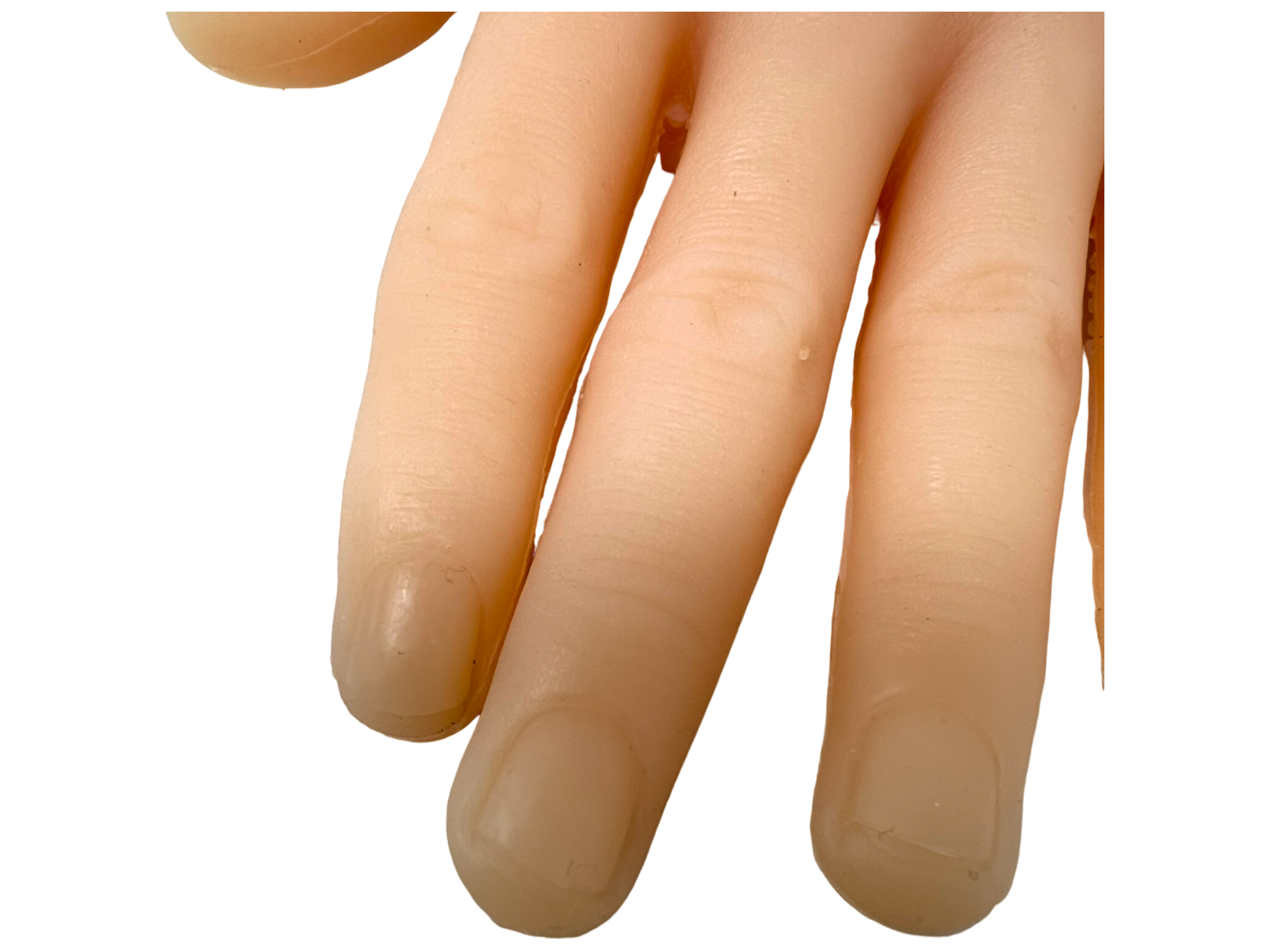 photoroom_080_20231107_205438