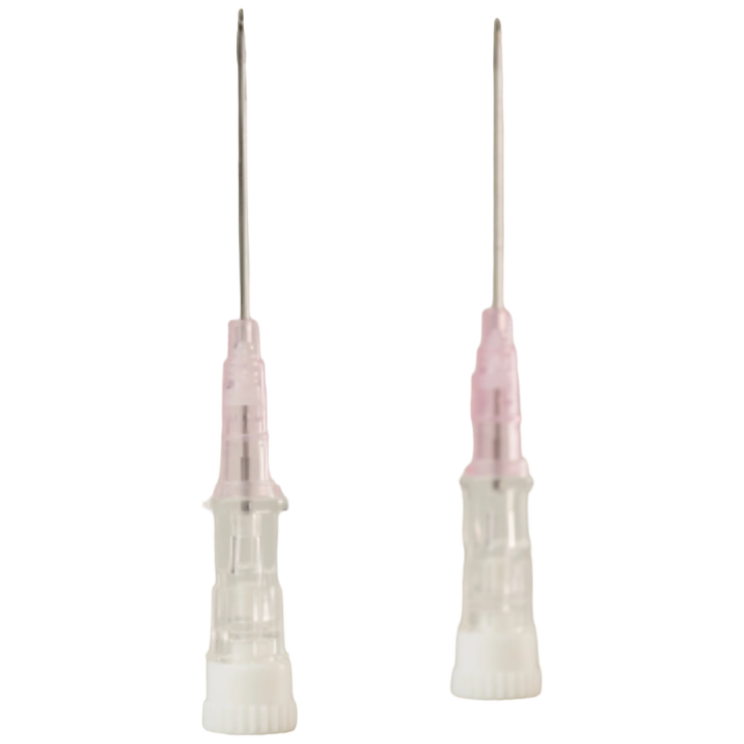 photoroom_000_20231215_161510