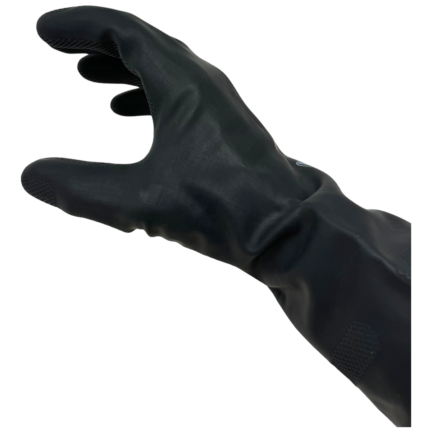 photoroom_023_20231214_214755