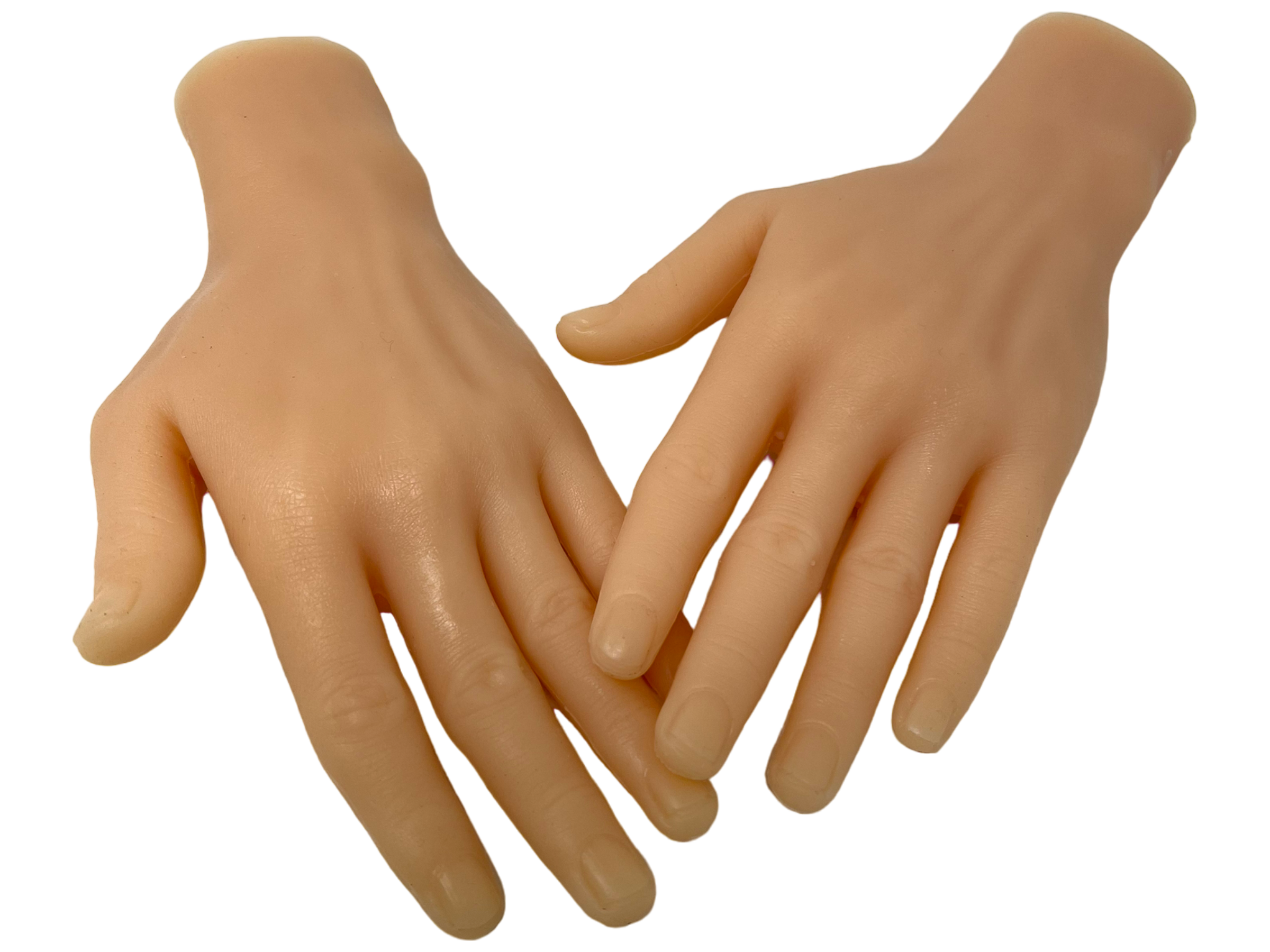 photoroom_083_20231107_205438